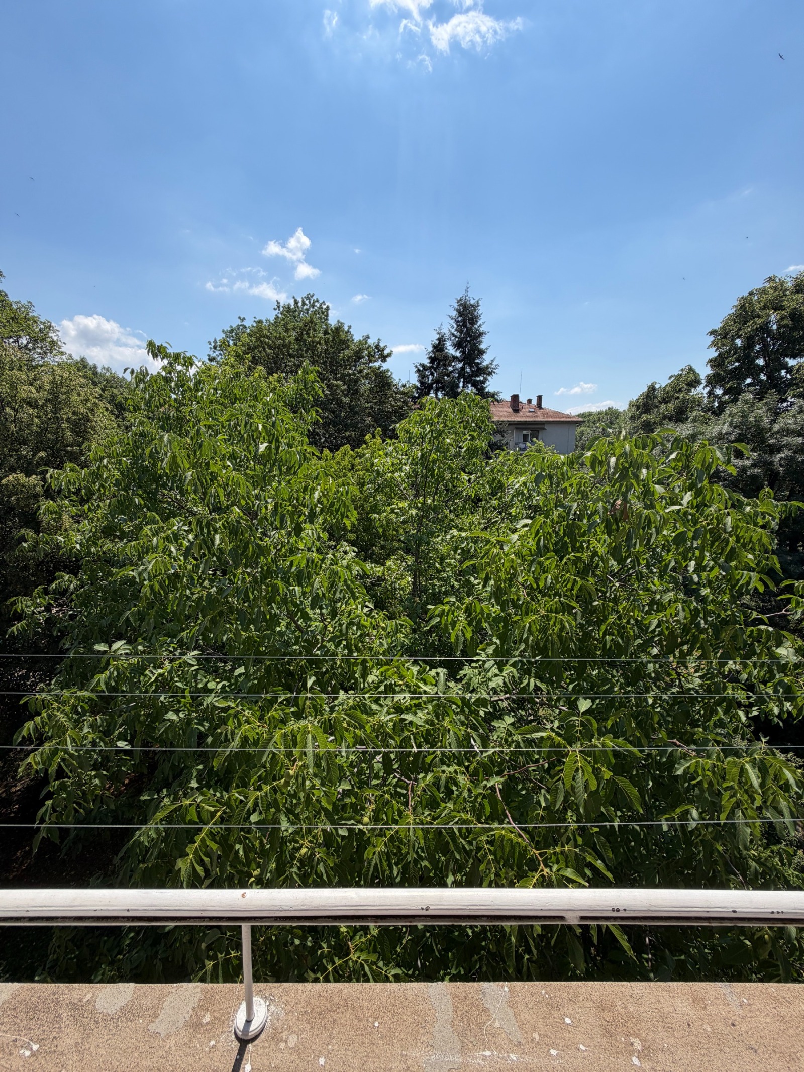 ������� 2-����� | Imot.bg � ����������� 12