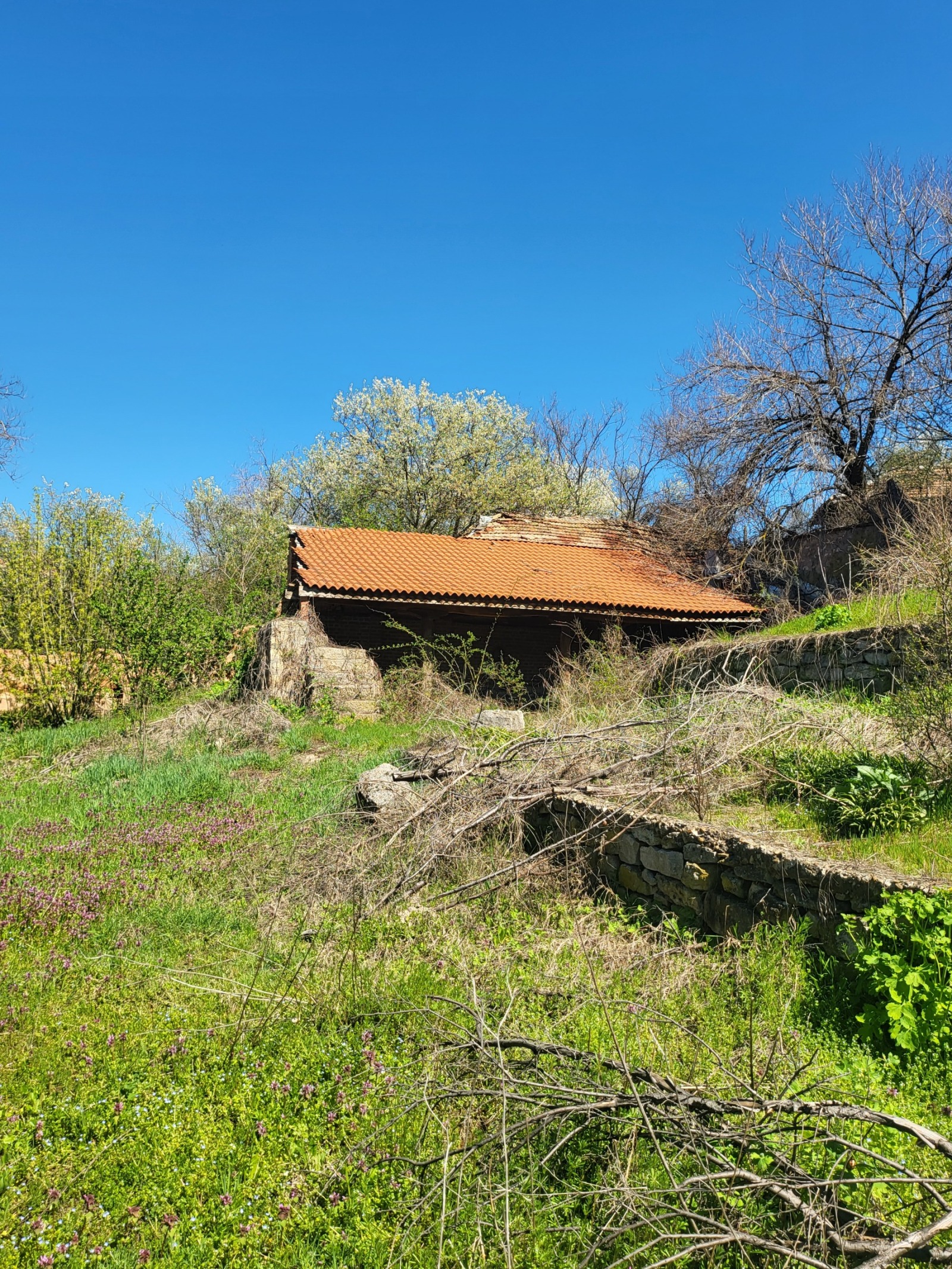 ������� ���� | Imot.bg � ����������� 13