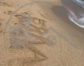 ������� 2-����� | Imot.bg � ����� ������ 13