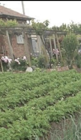 ������� ���� | Imot.bg � ����� ������ 5