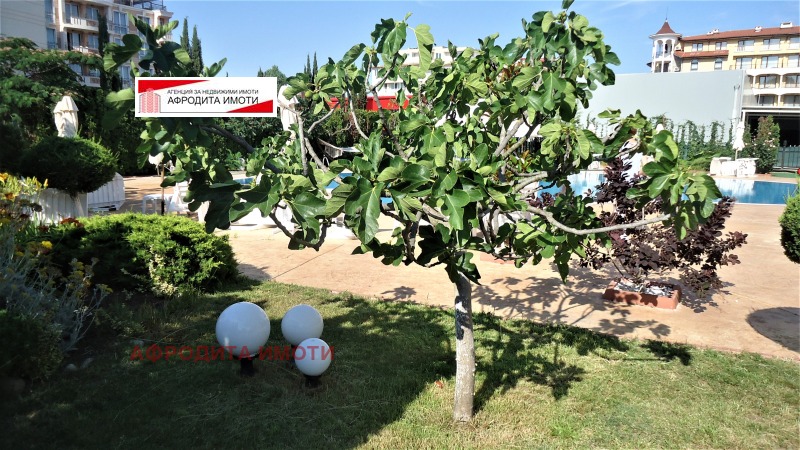 Продава  1-стаен област Бургас , к.к. Слънчев бряг , 33 кв.м | 62064748 - изображение [13]