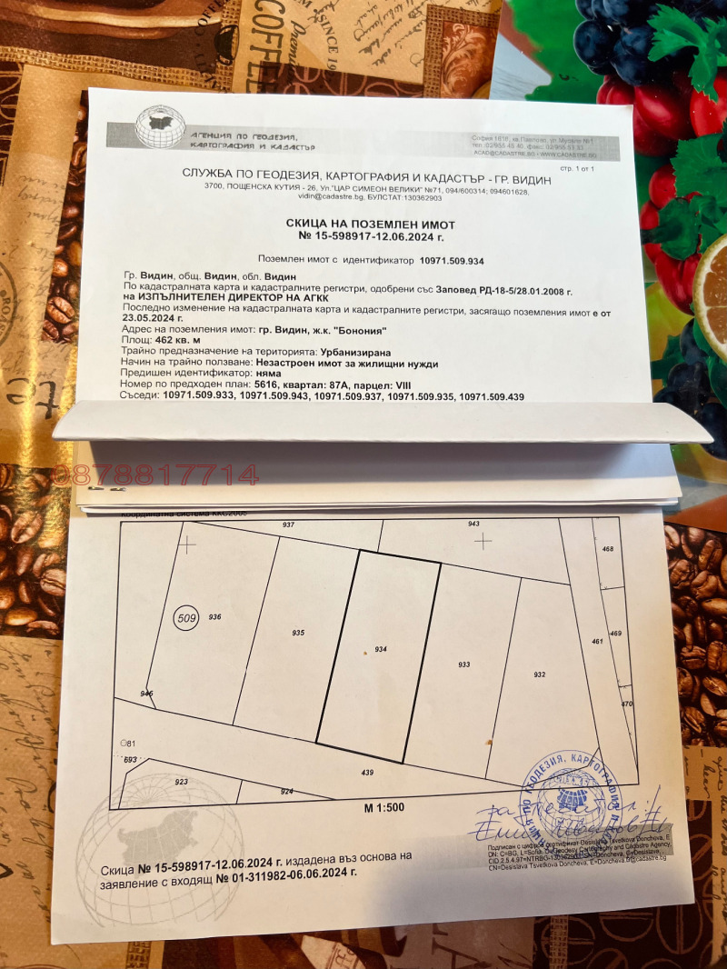 Продава ПАРЦЕЛ, гр. Видин, Бонония, снимка 3 - Парцели - 52893780
