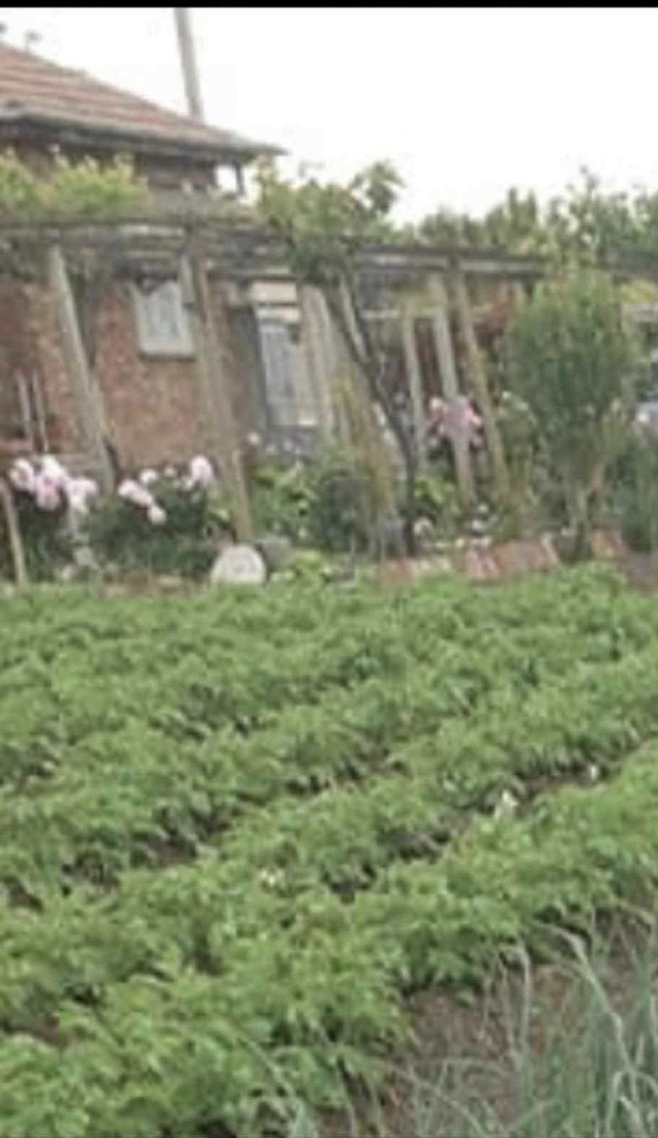 Продава КЪЩА, с. Събрано, област Сливен, снимка 4 - Къщи - 54183341