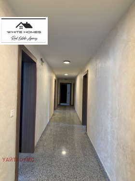 ����� ������� 2-�����,���� �����, �������� ������