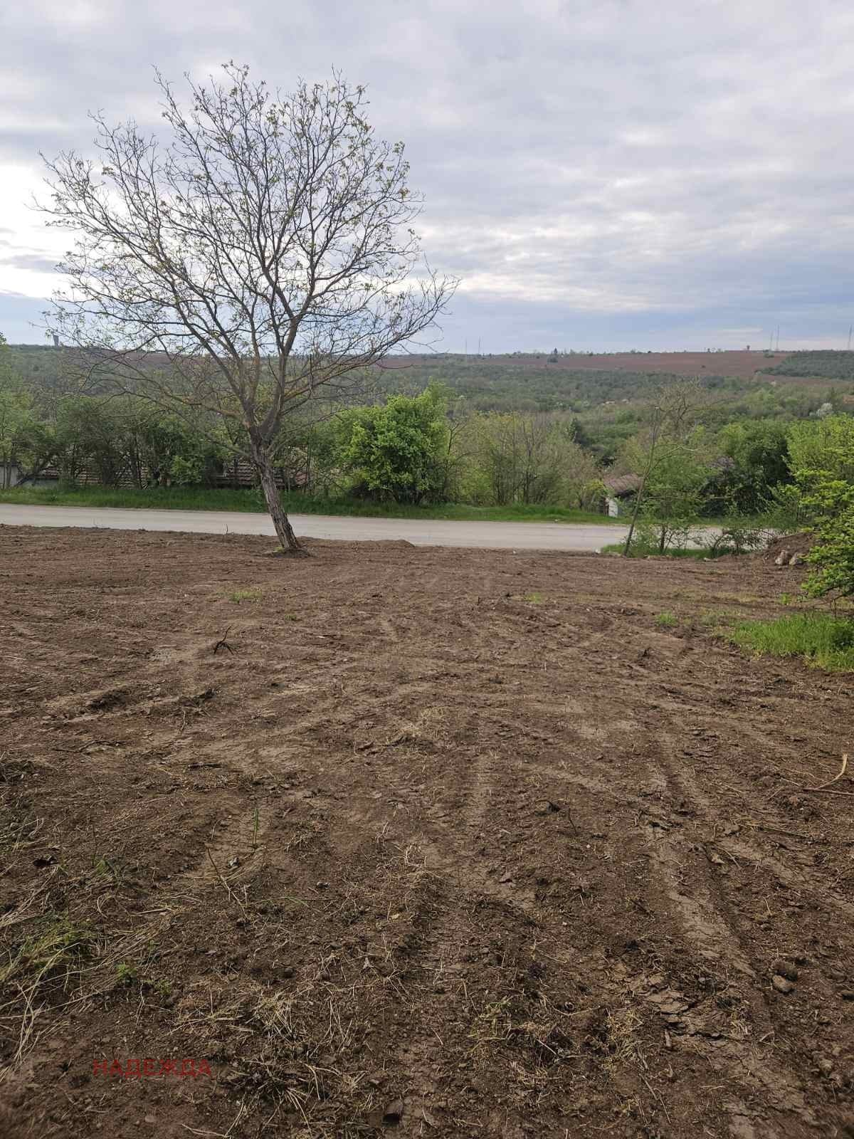 Продава ВИЛА, гр. Плевен, м-т Орлето, снимка 2 - Вили - 54264406