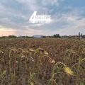 Продава ПАРЦЕЛ, с. Войводиново, област Пловдив, снимка 7
