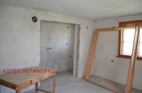 Hus Velingrad, region Pazardzhik 4