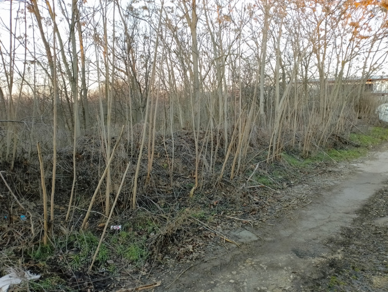Zu verkaufen  Handlung region Varna , Tscherwenzi , 2000 qm | 88331629 - Bild [14]