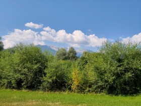 ������� ������ | Imot.bg � ����� ������ 8
