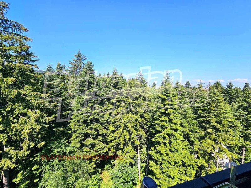 In vendita  1 camera da letto regione Sofia , k.k. Borovets , 56 mq | 93448247 - Immagine [9]
