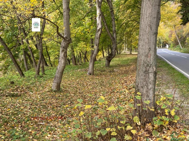 Zu verkaufen  Handlung region Sofia , Gara Lakatnik , 4000 qm | 96752164 - Bild [10]