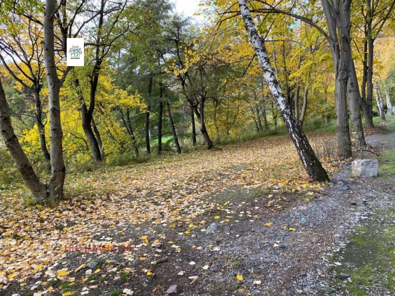 Zu verkaufen  Handlung region Sofia , Gara Lakatnik , 4000 qm | 96752164 - Bild [17]