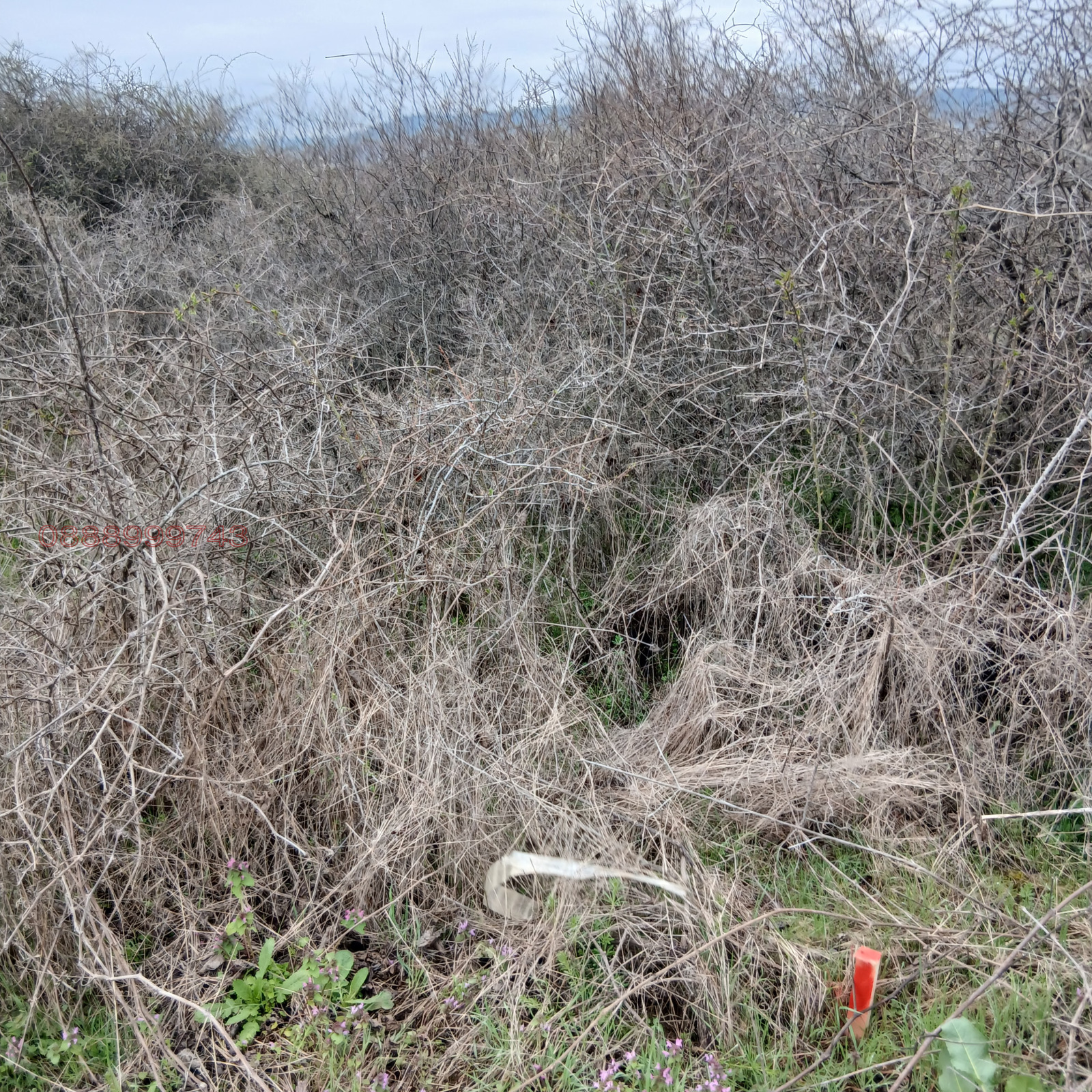 Продава ЗЕМЕДЕЛСКА ЗЕМЯ, с. Хрищени, област Стара Загора, снимка 4 - Земеделска земя - 53939086