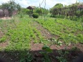 Продава КЪЩА, с. Слаковци, област Перник, снимка 3