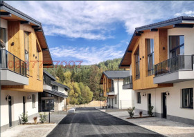 ����� ������� ����,��. ���������, ������ ���������