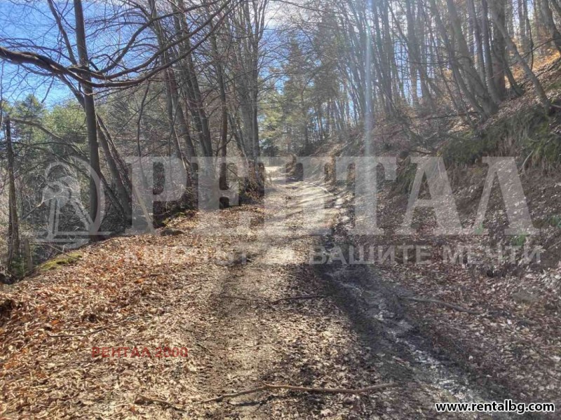 In vendita  Complotto regione Plovdiv , Bojkovo , 606 mq | 32164184 - Immagine [14]