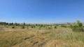 Продава ПАРЦЕЛ, с. Кошарица, област Бургас, снимка 7