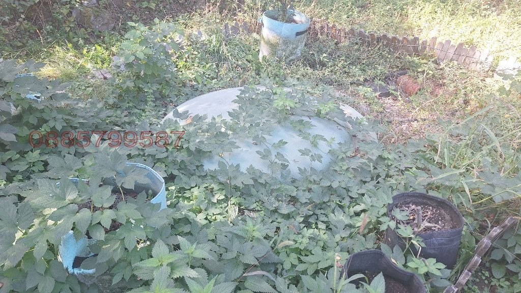 Продава КЪЩА | Imot.bg — изображение 6