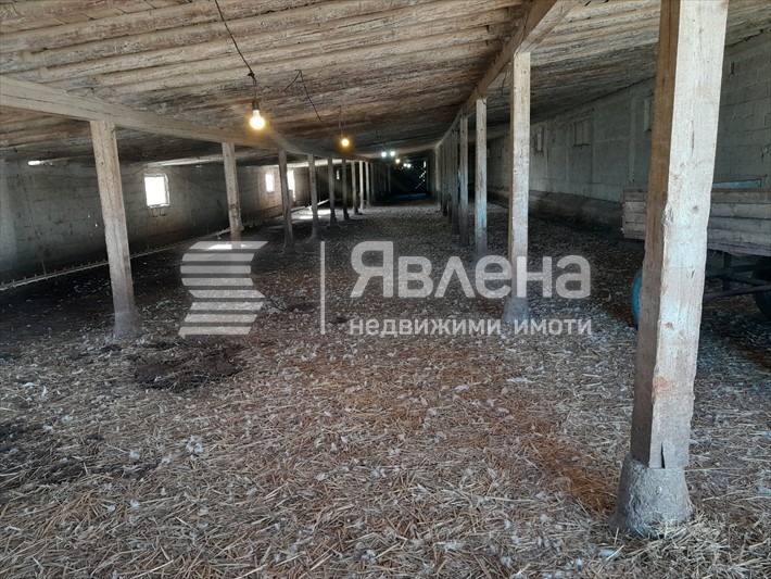 Продава ПРОМ. ПОМЕЩЕНИЕ, с. Чоба, област Пловдив, снимка 6 - Производствени сгради - 54745239