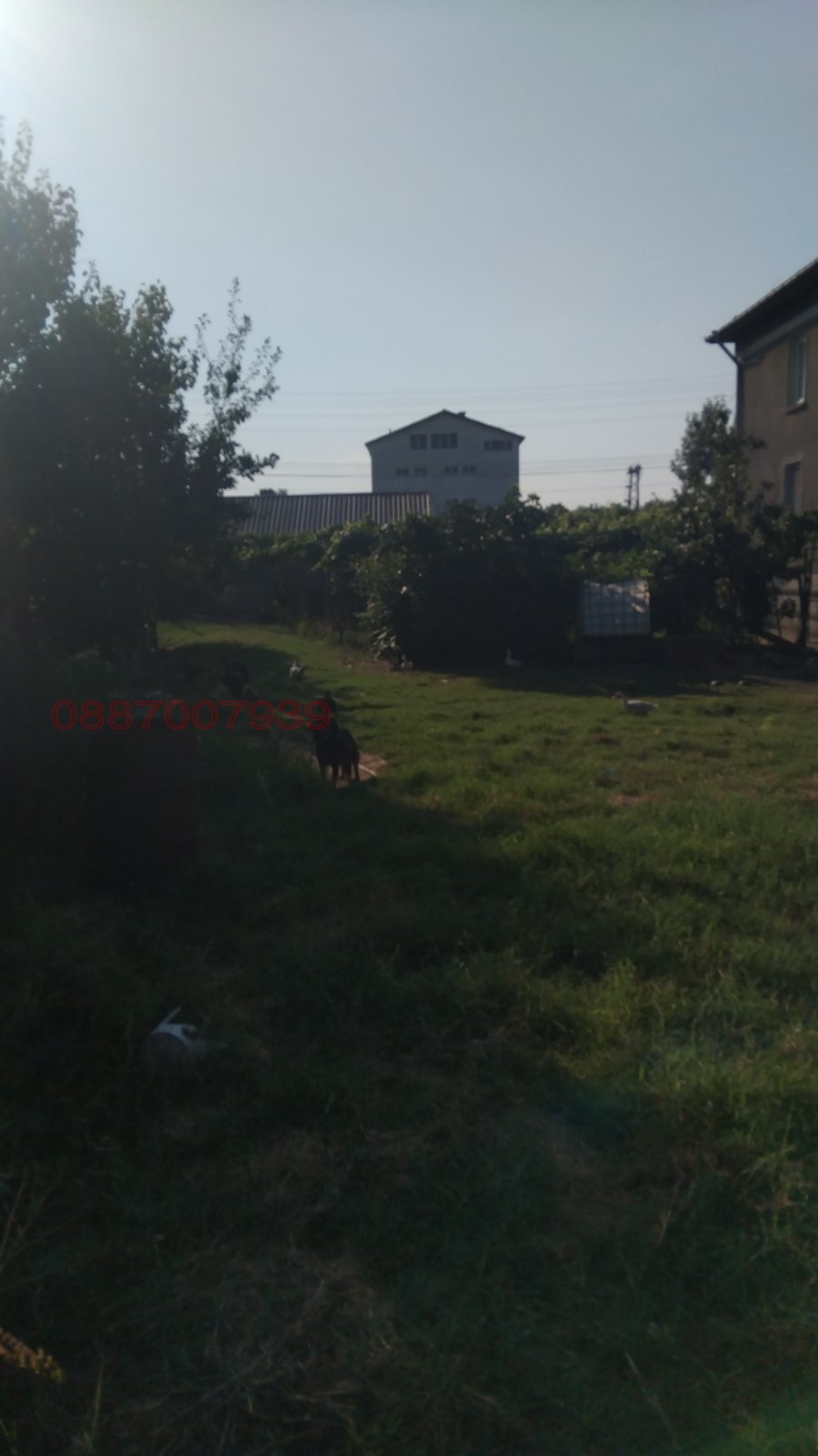 Продава КЪЩА, гр. Тутракан, област Силистра, снимка 8 - Къщи - 55576941