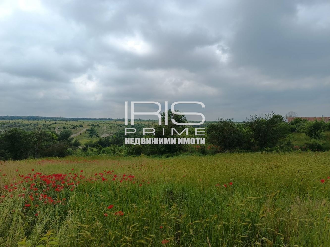 ������� ���� | Imot.bg � ����������� 3