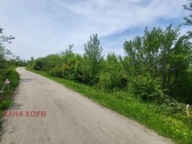 Plott Patresjko, region Lovech 2