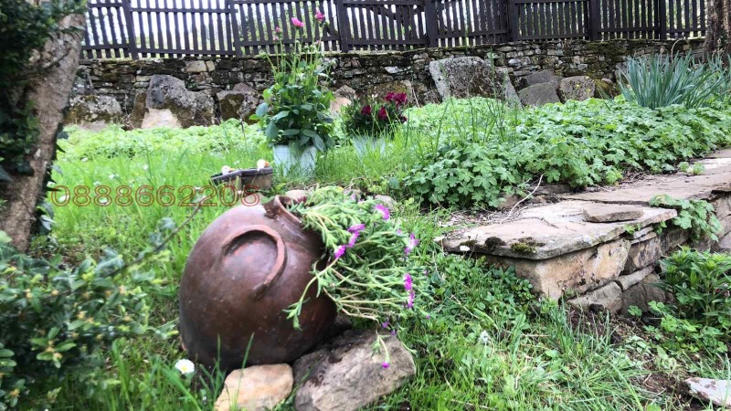 Zu verkaufen  Haus region Gabrovo , Boschenzite , 180 qm | 41143941 - Bild [9]