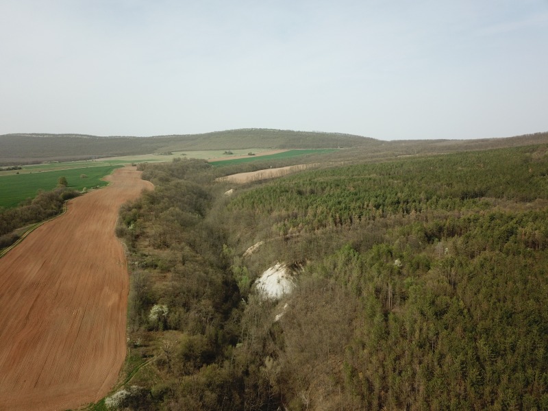 À venda  Terra região Varna , Asparuhovo , 38 tudo bem | 56978916 - imagem [3]