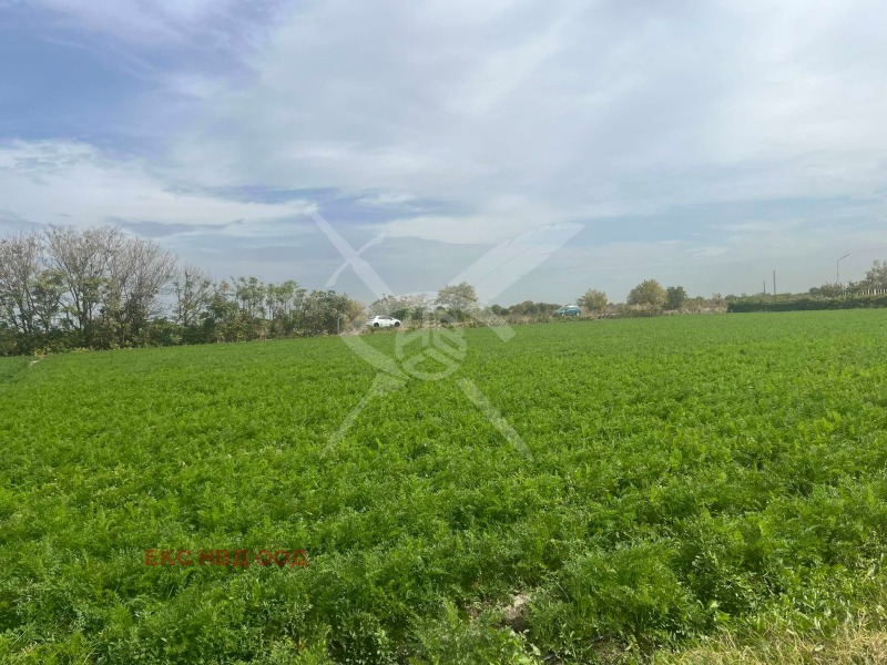 For Sale  Land region Plovdiv , Tsaratsovo , 3 dka | 20612301 - image [2]