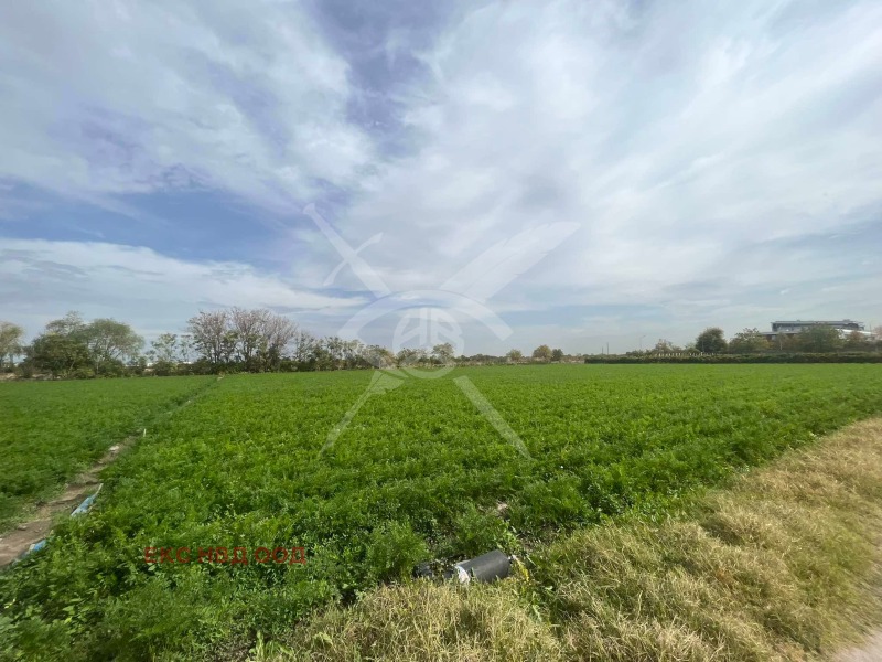 For Sale  Land region Plovdiv , Tsaratsovo , 3 dka | 20612301 - image [4]