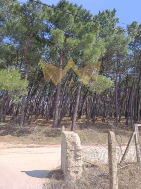 ������� ������ | Imot.bg � ����� ������ 3