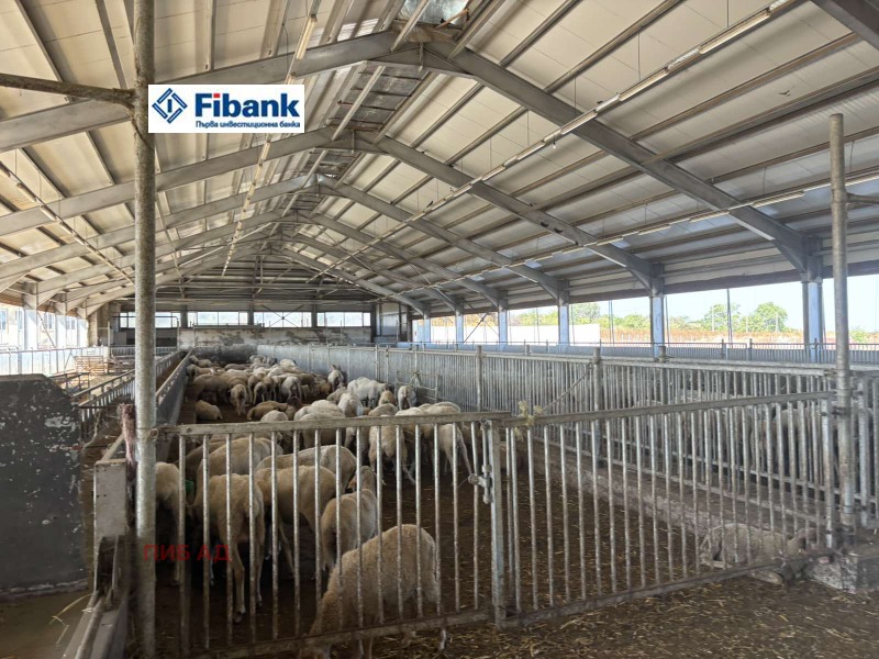 Продава  Пром. помещение област Добрич , гр. Генерал Тошево , 8900 кв.м | 66471030 - изображение [6]