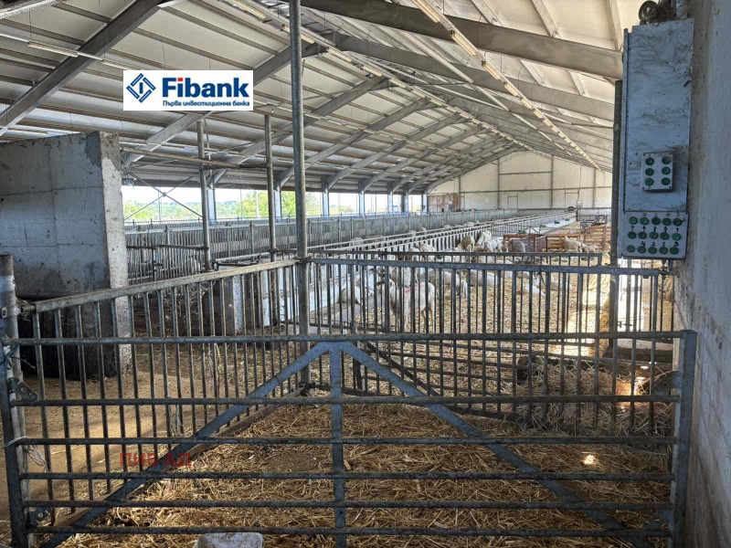 Продава  Пром. помещение област Добрич , гр. Генерал Тошево , 8900 кв.м | 66471030 - изображение [8]