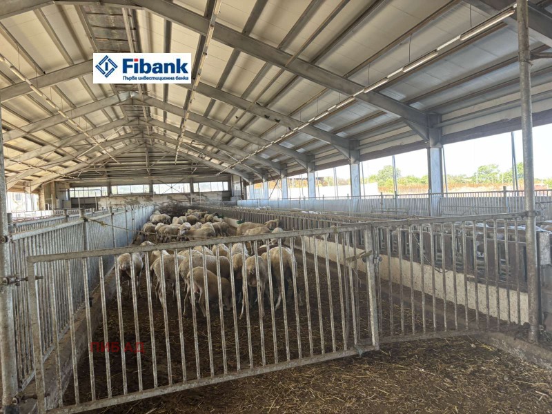 Продава  Пром. помещение област Добрич , гр. Генерал Тошево , 8900 кв.м | 66471030 - изображение [7]