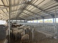 Продава ПРОМ. ПОМЕЩЕНИЕ, област Добрич, гр. Генерал Тошево • 1800000 лв. • 53405437 — Holmes.bg