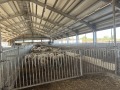 Продава ПРОМ. ПОМЕЩЕНИЕ, област Добрич, гр. Генерал Тошево • 1800000 лв. • 53405437 — Holmes.bg