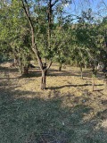 Продава ПАРЦЕЛ, област София, с. Владо Тричков • 37000 € • 10368743 5