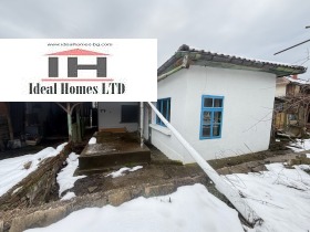 ������ ������� ����