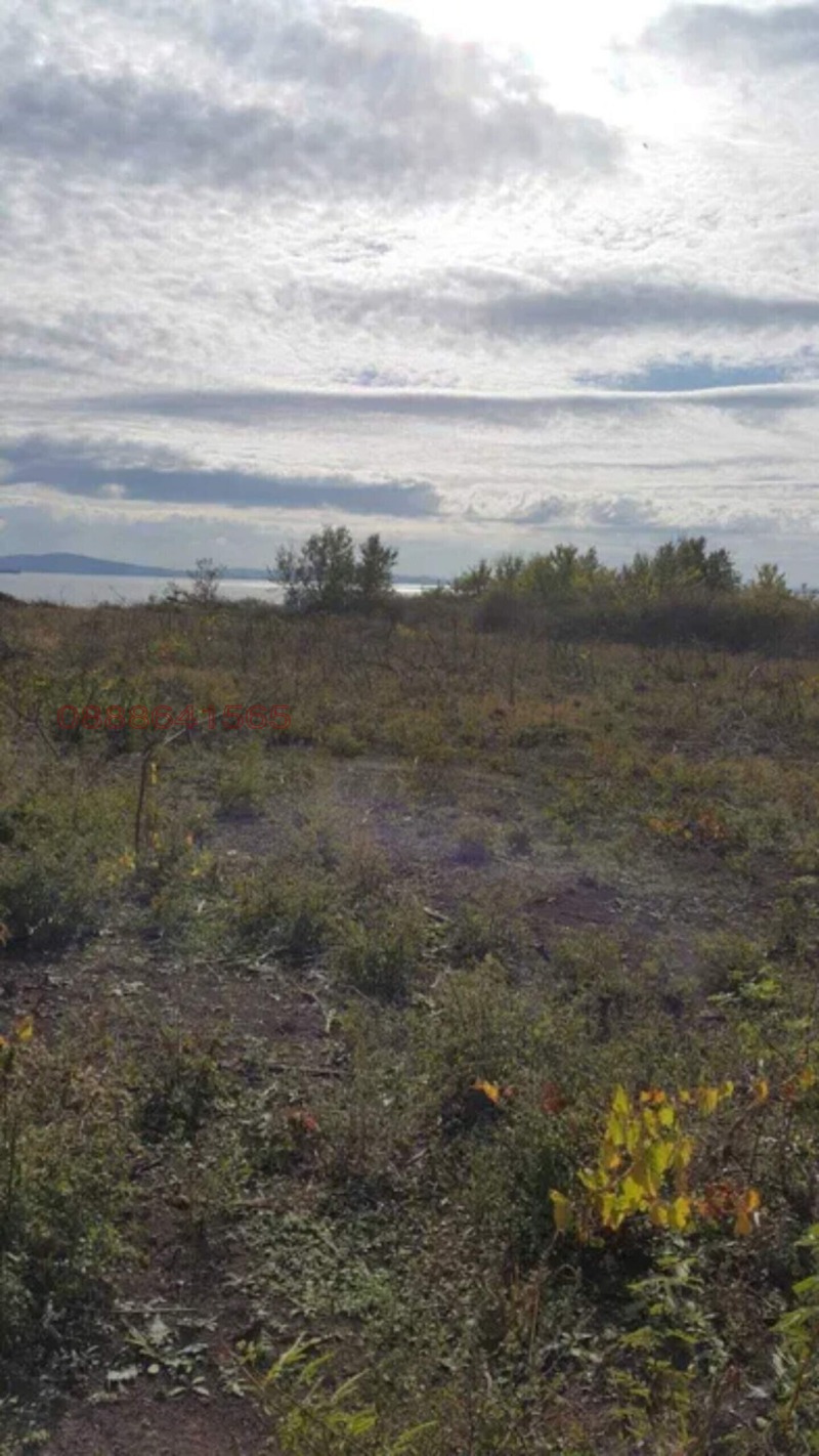 Na prodej  Spiknutí oblast Burgas , Pomorie , 2000 m2 | 47787667 - obraz [4]