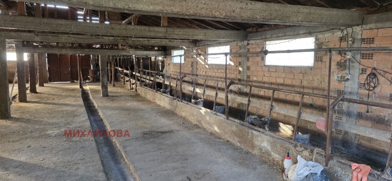 Продава БИЗНЕС ИМОТ, с. Знаменосец, област Стара Загора, снимка 3 - Други - 52280490