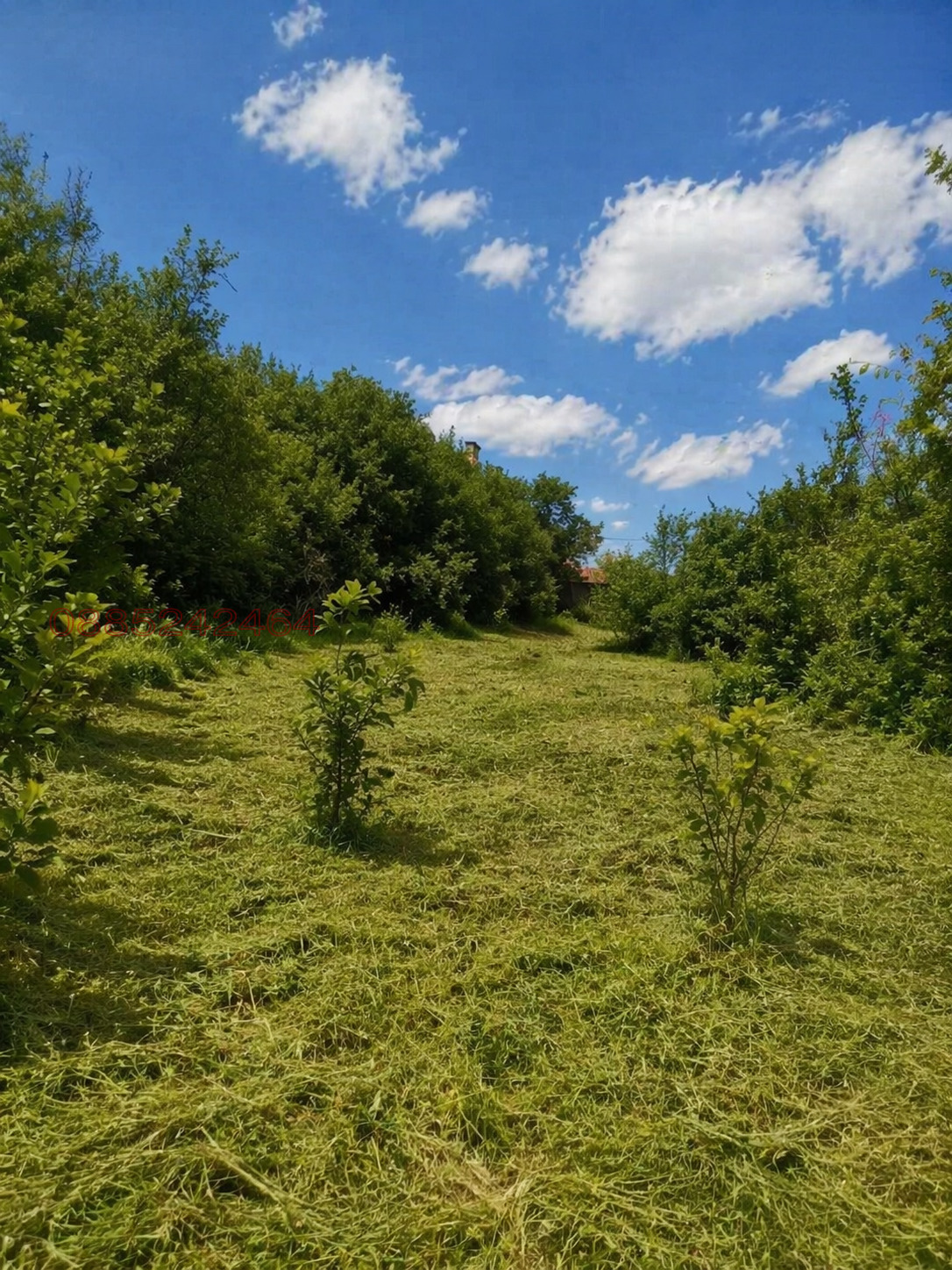 Продава ПАРЦЕЛ, с. Радуй, област Перник
