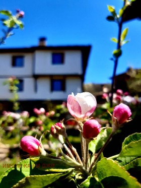 Hus Kovachevitsa, region Blagoevgrad 15