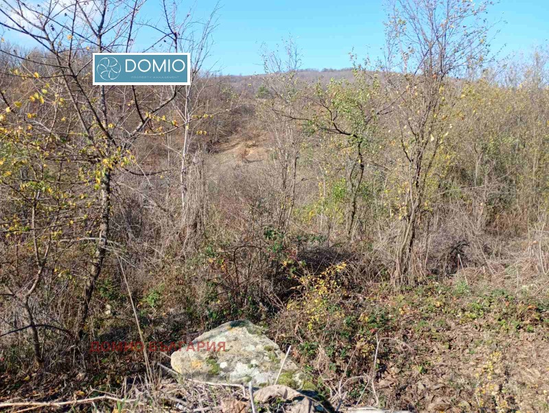 Продава ПАРЦЕЛ, гр. Елена, област Велико Търново, снимка 4 - Парцели - 52526206