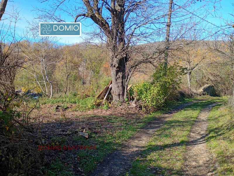 Продава ПАРЦЕЛ, гр. Елена, област Велико Търново, снимка 2 - Парцели - 52526206