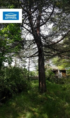 ������� ������ | Imot.bg � ����� ������ 12