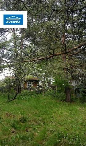 ������� ������ | Imot.bg � ����� ������ 11