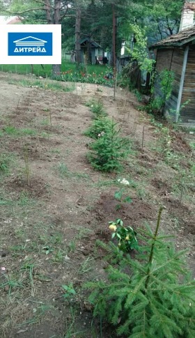 ������� ������ | Imot.bg � ����� ������ 3