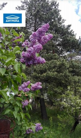 ������� ������ | Imot.bg � ����� ������ 15