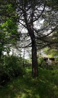 Продава  Парцел област София , в.з.Ярема , 1276 кв.м | 68331458 - изображение [12]