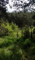 Продава  Парцел област София , в.з.Ярема , 1276 кв.м | 68331458 - изображение [13]